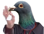 risitas mouchoire salut branle pigeon au revoir
