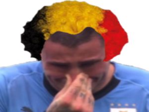 franced risitas cdm belge