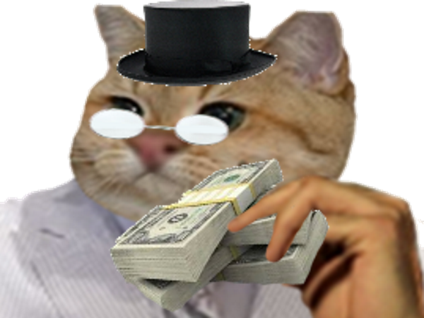 liasse lunettes juif chanceux chat chapeau billets argent