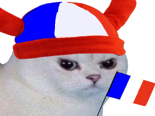 chat de coupe cdm monde fr francais