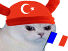 monde-turque-fr-coupe-naerin-cdm-de-france-turc-francais-turquie-other-chat