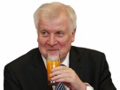 seehofer horst