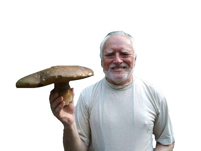 harold drogue champi