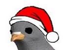 troll-other-noel-mougeon-mouton-pigeon
