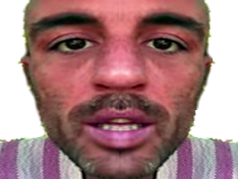 ernesto vegan enerver