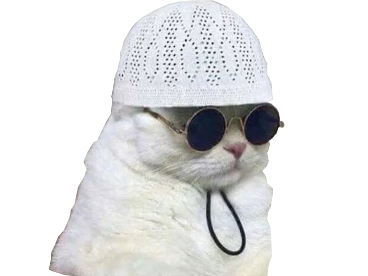 lunettes risitas chapeau chat