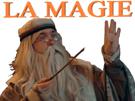 rassiat-jdg-baguette-sebastien-magie-christavalier-humblebundledore-tour-harry-potter-dumbledore-la