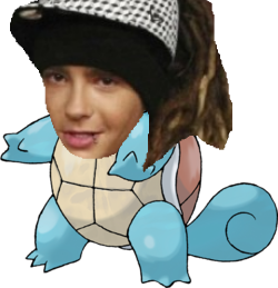 tom carapuce kaulitz