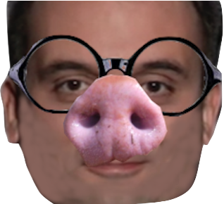 sdqq risitas qdsqds dsqqds