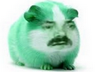 risitas jvp hamster vert