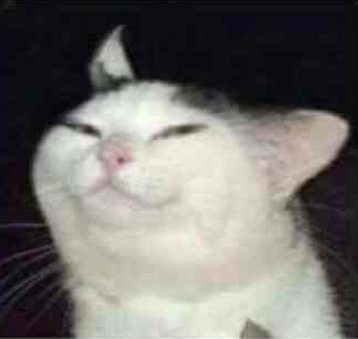 fier chat bamboozled