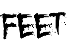 feet-h22-qlm-other-mots