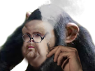 lunette risitas monstre oui singe