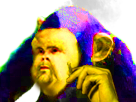 singe oui risitas monstre