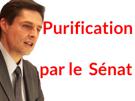 dallier-purification-politic-senat-benalla-phillipe-politique-affaire