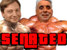 politic-senated-benalla-senat-enquete-grosdidier-sueur