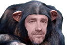 singe-risitas-bonobo-castaner-chimpanze