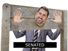 politic-senat-benalla-politique