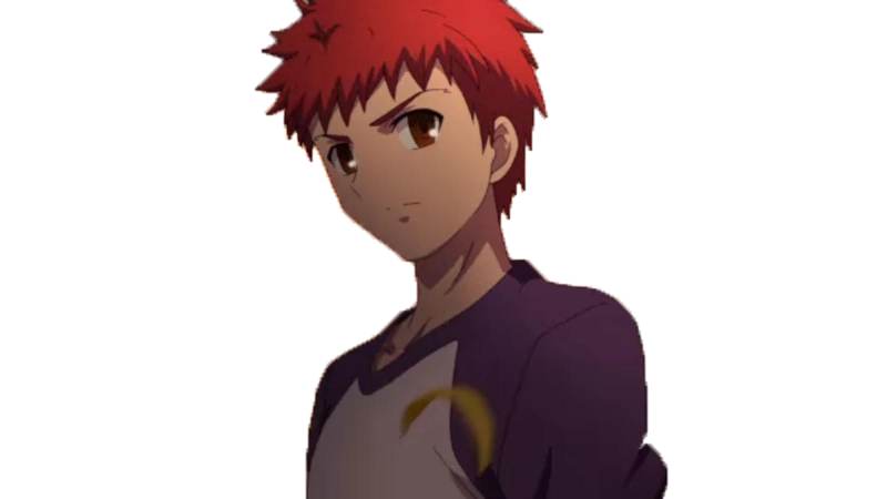 kikoojap emiya shirou fate