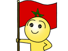 jvc-kalem-drapeau-eco-maroc-by