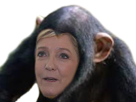 marine mlp lepen politic pen le singe