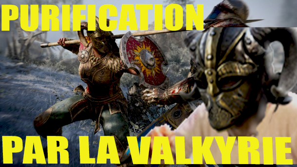 for risitas honor purification valkyrie