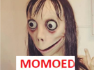 momoed-vrai-momo-ans-suicide-12-other-ed