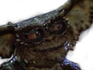 lunettes risitas gremlins monstres