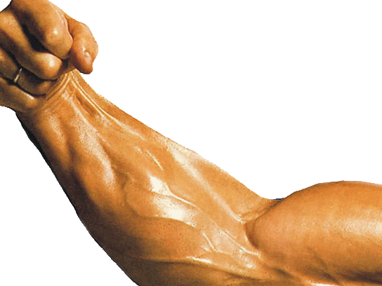 chance risitas 2pac 2sucres larry