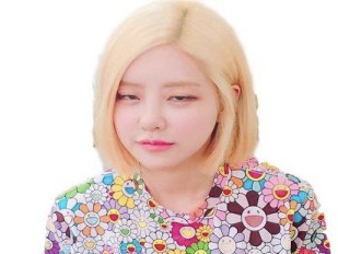 serieusement coreenne korea risitas soda