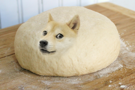dough-wow-other-such-doge