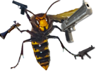 arme-deter-guepe-menacant-pistolet-piqure-risitas-insecte-frelon-abeille