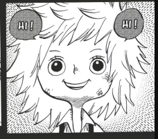 koala piece qqeeqq kikoojap kj one 2sucres