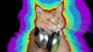 other-drogue-chat-disco