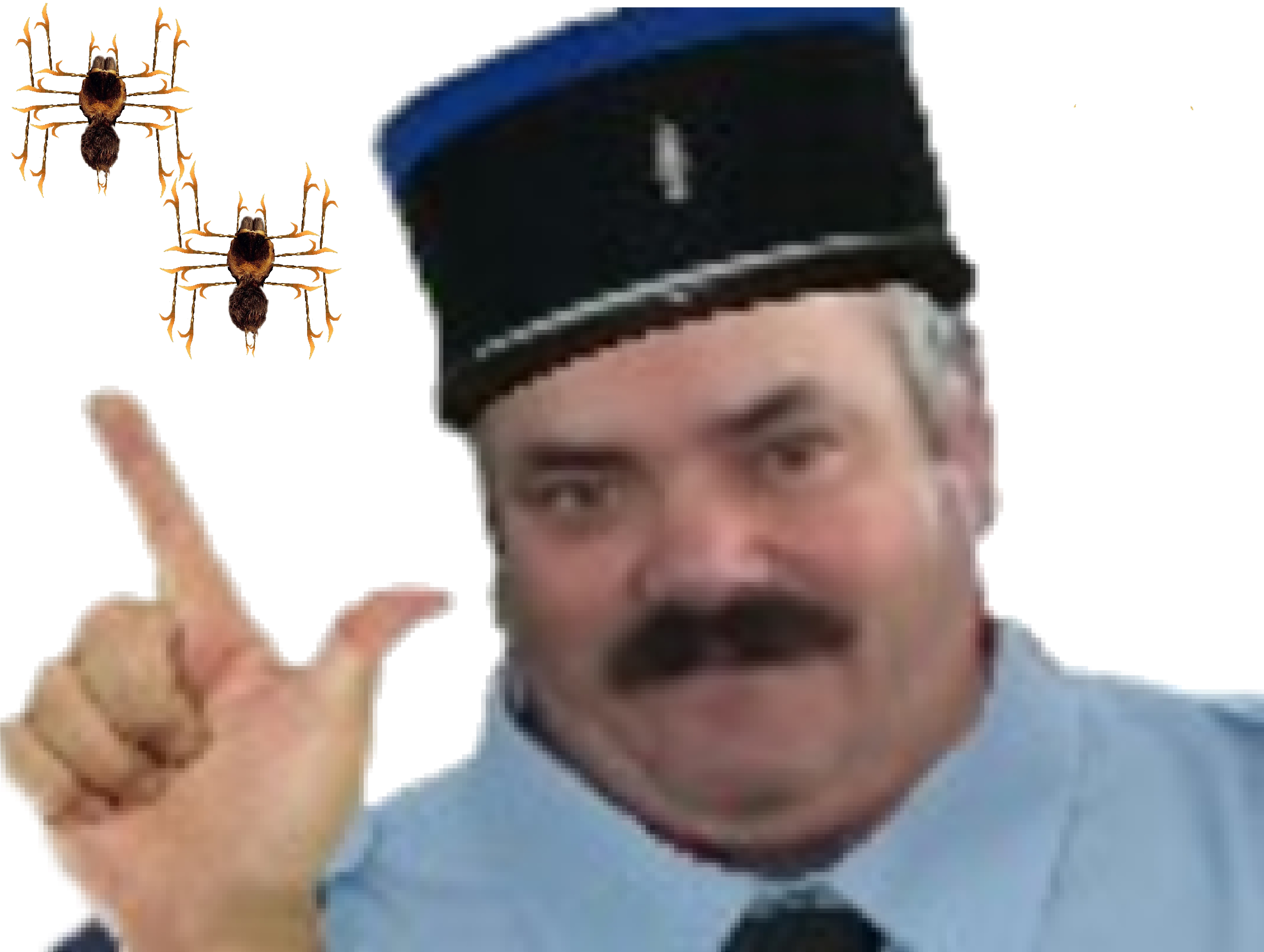 araignee ddb 666 ayaaaa tison risitas