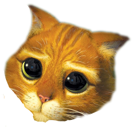 Sticker De Taym Sur Other Shrek Chat Potte Cute Cat Yeux Mignon Tete Taym Sticker Id