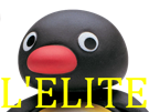 Sticker other pingu elite pinguin