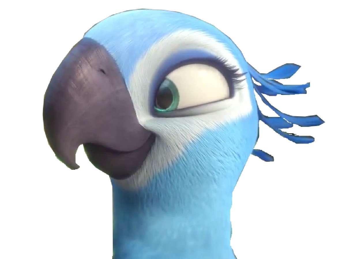 other spix macaw blu rio perla swag