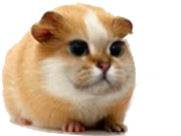 Sticker De Risithug Sur Hamster Chat Chamster Cochon D Inde Animal Other Sticker Id